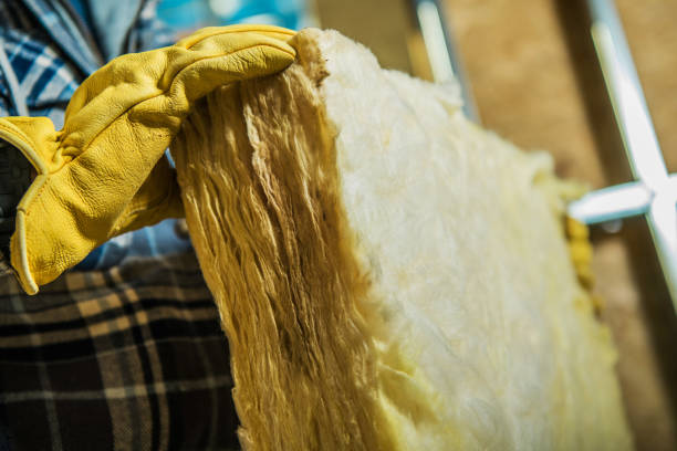 Best Crawl Space Insulation  in Patton Village, TX