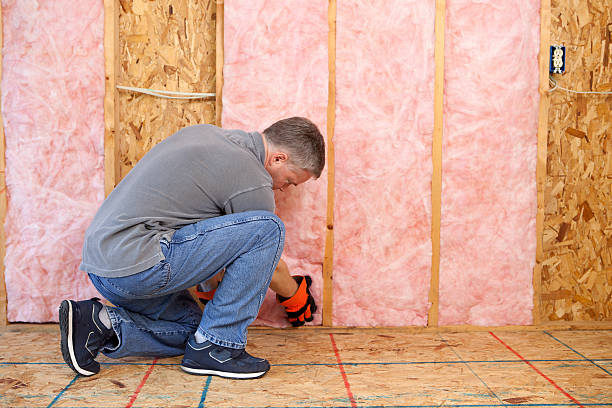 Best Blown-in Insulation  in Patton Village, TX